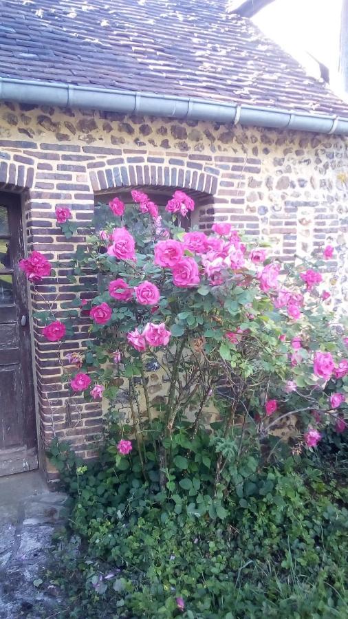 Domaine De Gentilly Saint-Maurice-lès-Charencey Exteriör bild