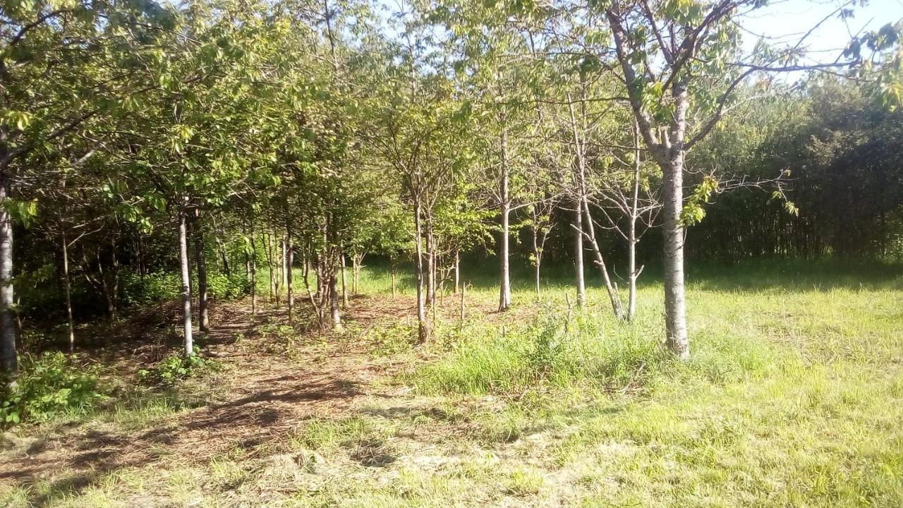 Domaine De Gentilly Saint-Maurice-lès-Charencey Exteriör bild