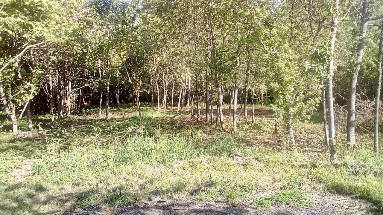 Domaine De Gentilly Saint-Maurice-lès-Charencey Exteriör bild